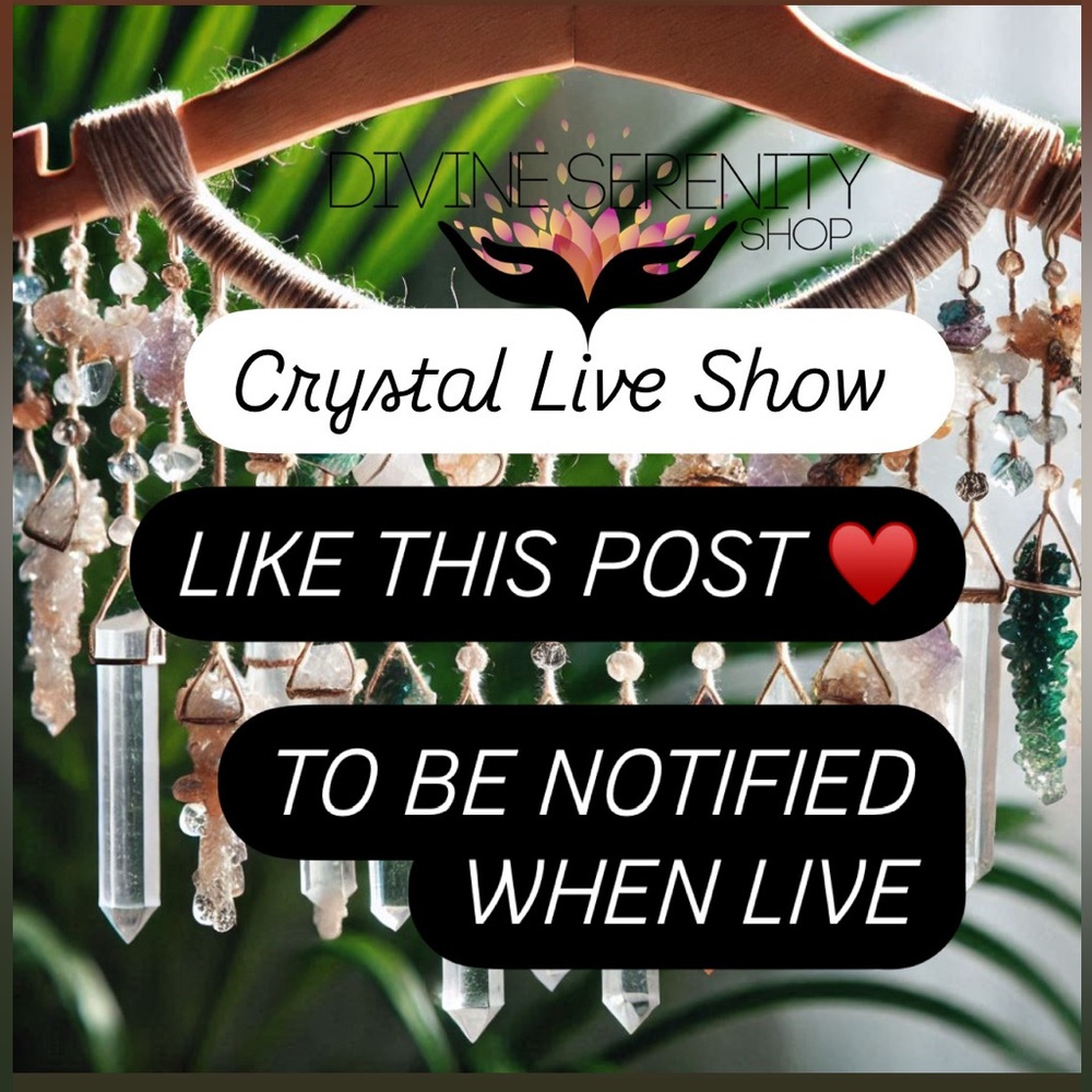 LIKE THIS FLYER TO BE NOTIFIED WHEN WE GO LIVE.